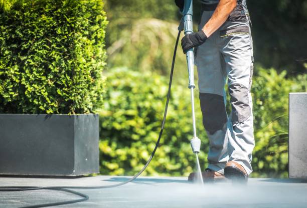 Best Sidewalk and Walkway Cleaning  in Park Hills, KY