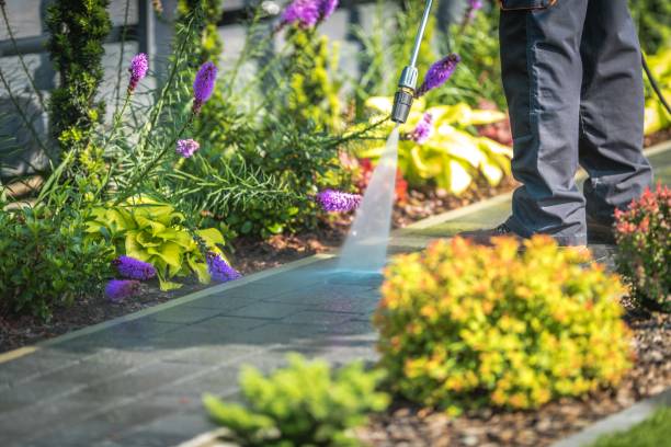 Best Boat and Dock Cleaning  in Park Hills, KY